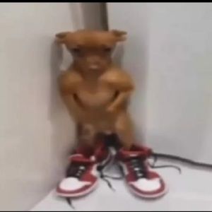 Meet your Posher, Luis